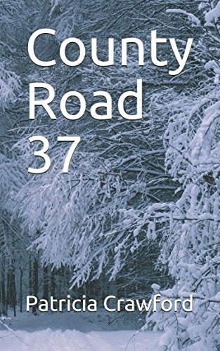 County Road 37 poster