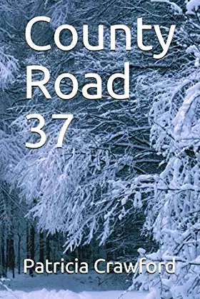 County Road 37 poster