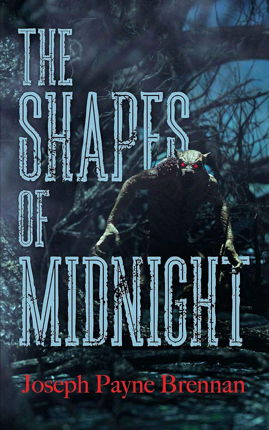 The Shapes of Midnight poster