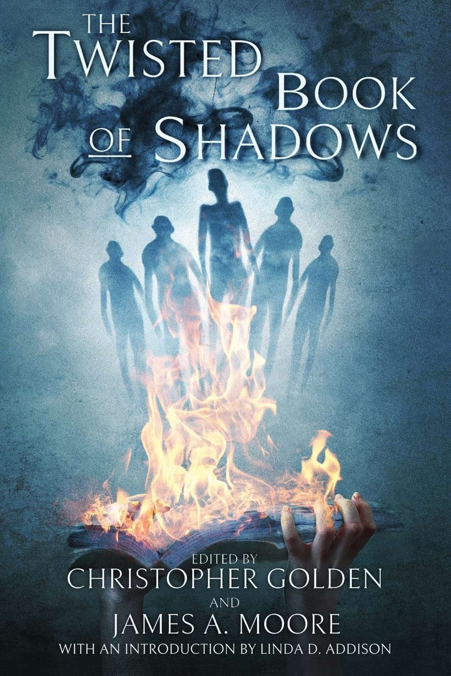 The Twisted Book Of Shadows poster