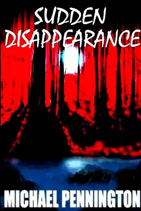 Sudden Disappearance poster