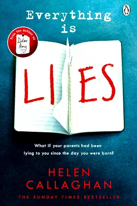 Everything Is Lies poster