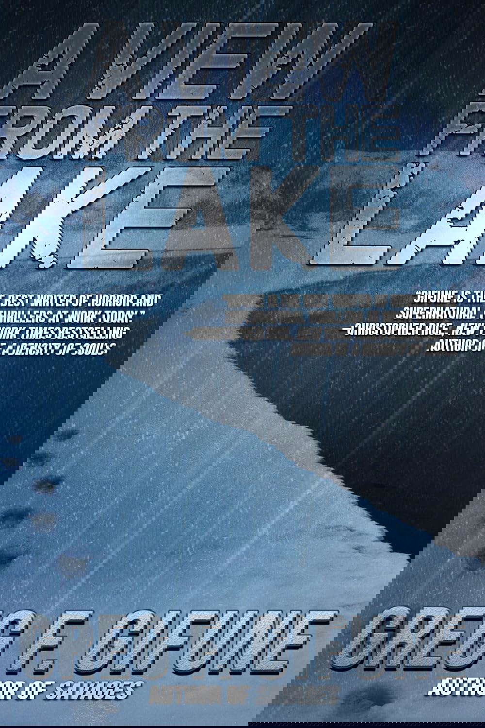 A View From the Lake poster