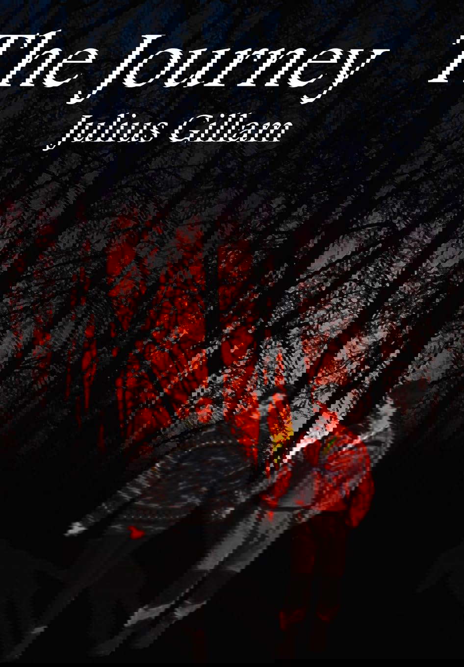 The Journey poster