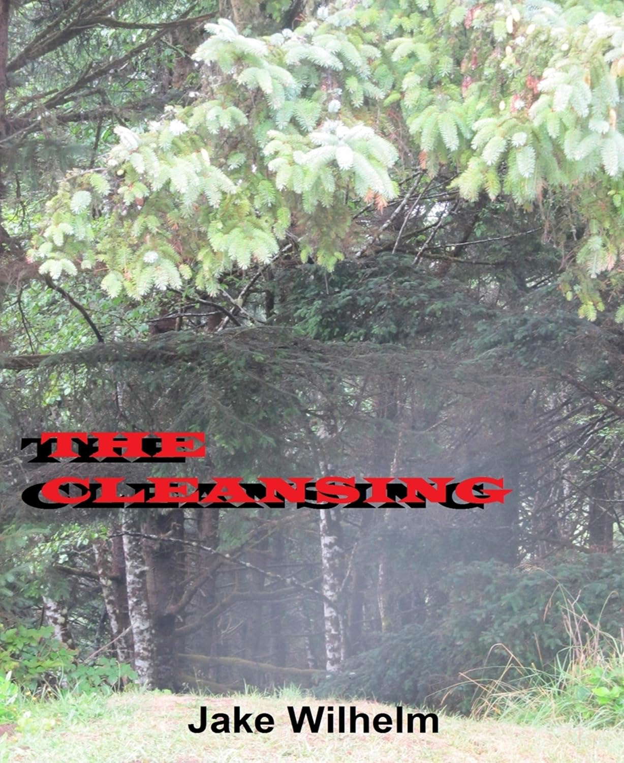 The Cleansing poster