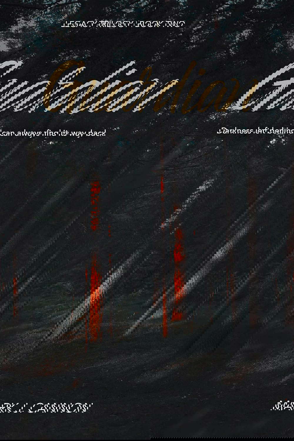 Guardian poster