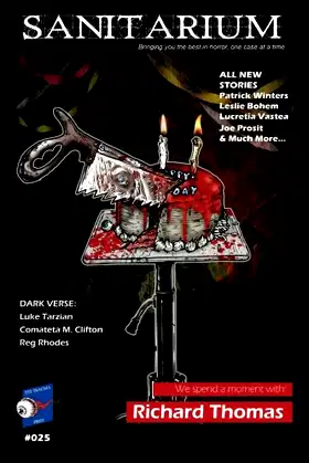 Sanitarium #025 (Sanitarium Magazine) (Volume 25) poster