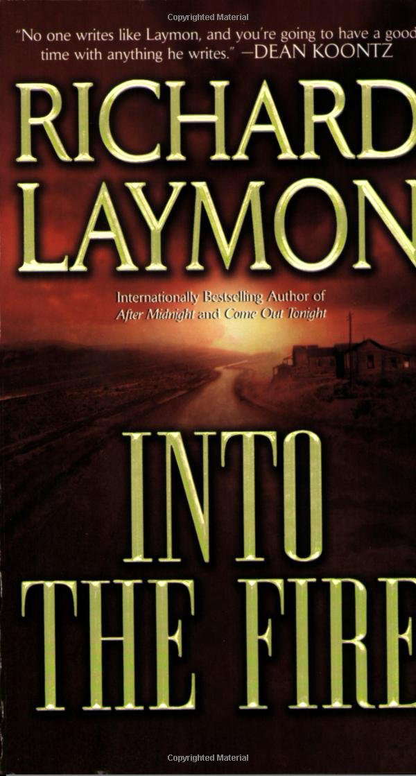 Into the Fire poster