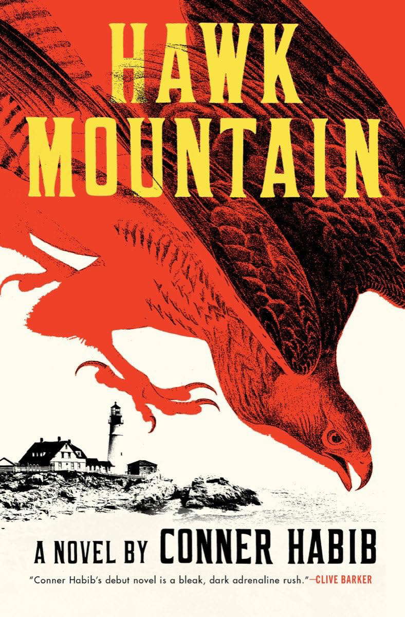 Hawk Mountain: A Novel poster
