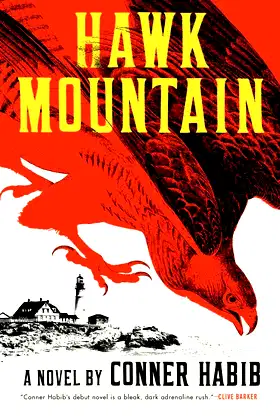 Hawk Mountain: A Novel poster