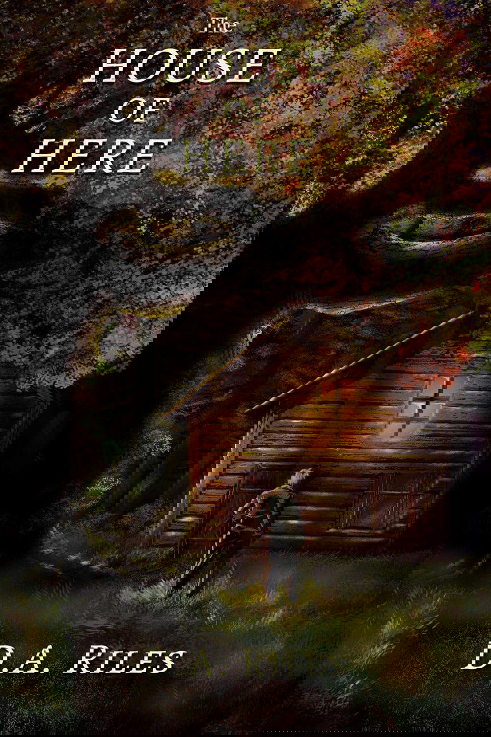 The House of Here poster