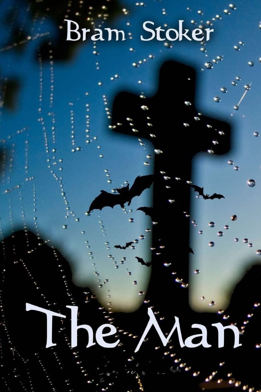 The Man poster