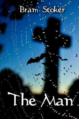 The Man poster