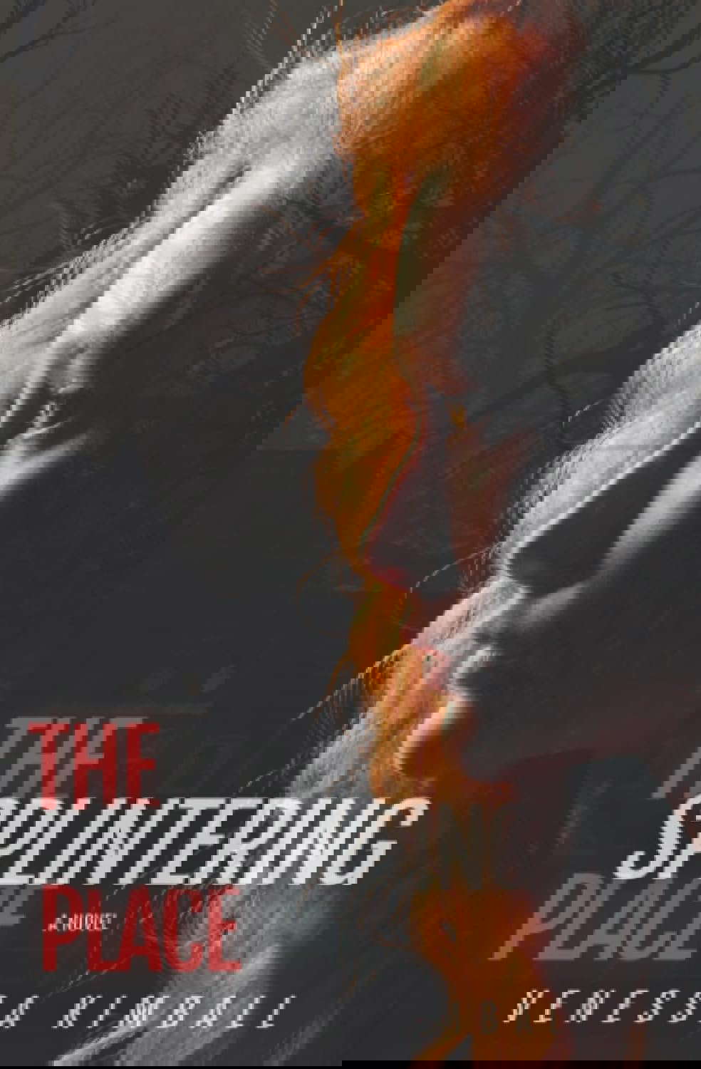 The Splintering Place poster