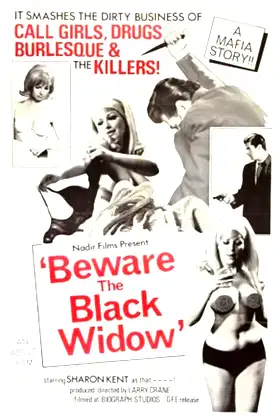 Beware the Black Widow poster