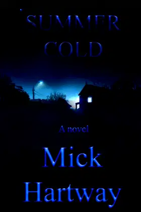 SUMMER COLD poster
