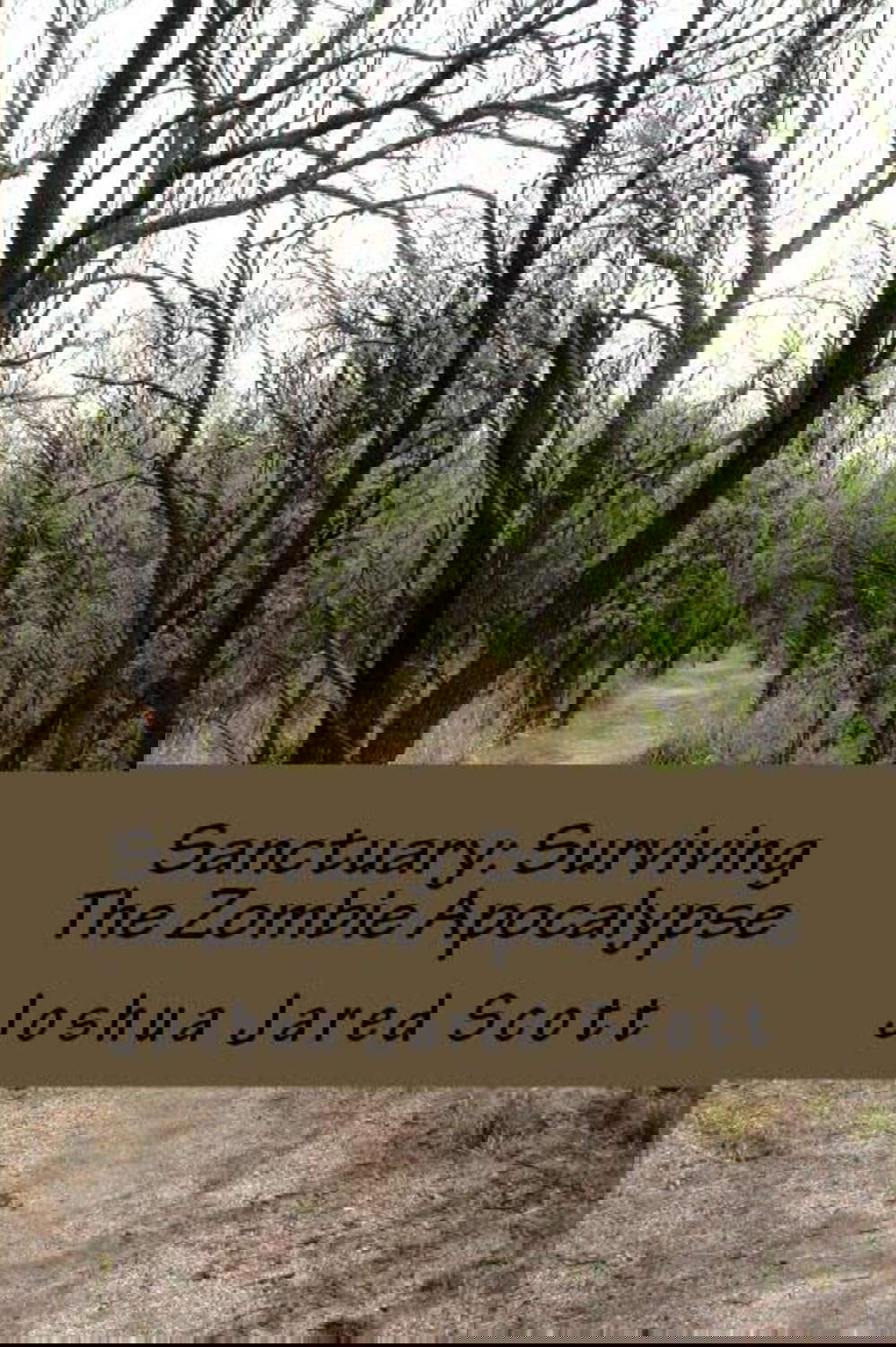 Sanctuary: Surviving The Zombie Apocalypse poster