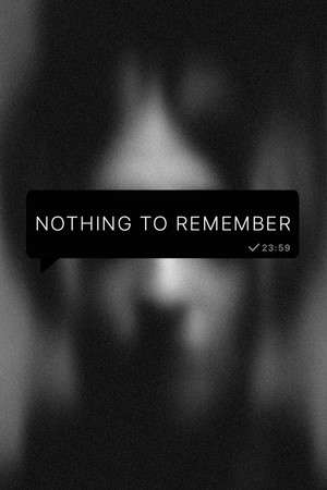 Nothing To Remember poster