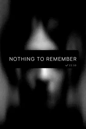 Nothing To Remember poster