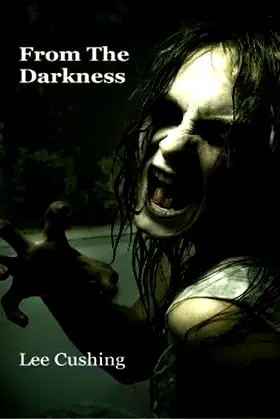 From The Darkness poster