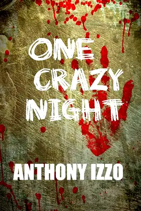 One Crazy Night poster