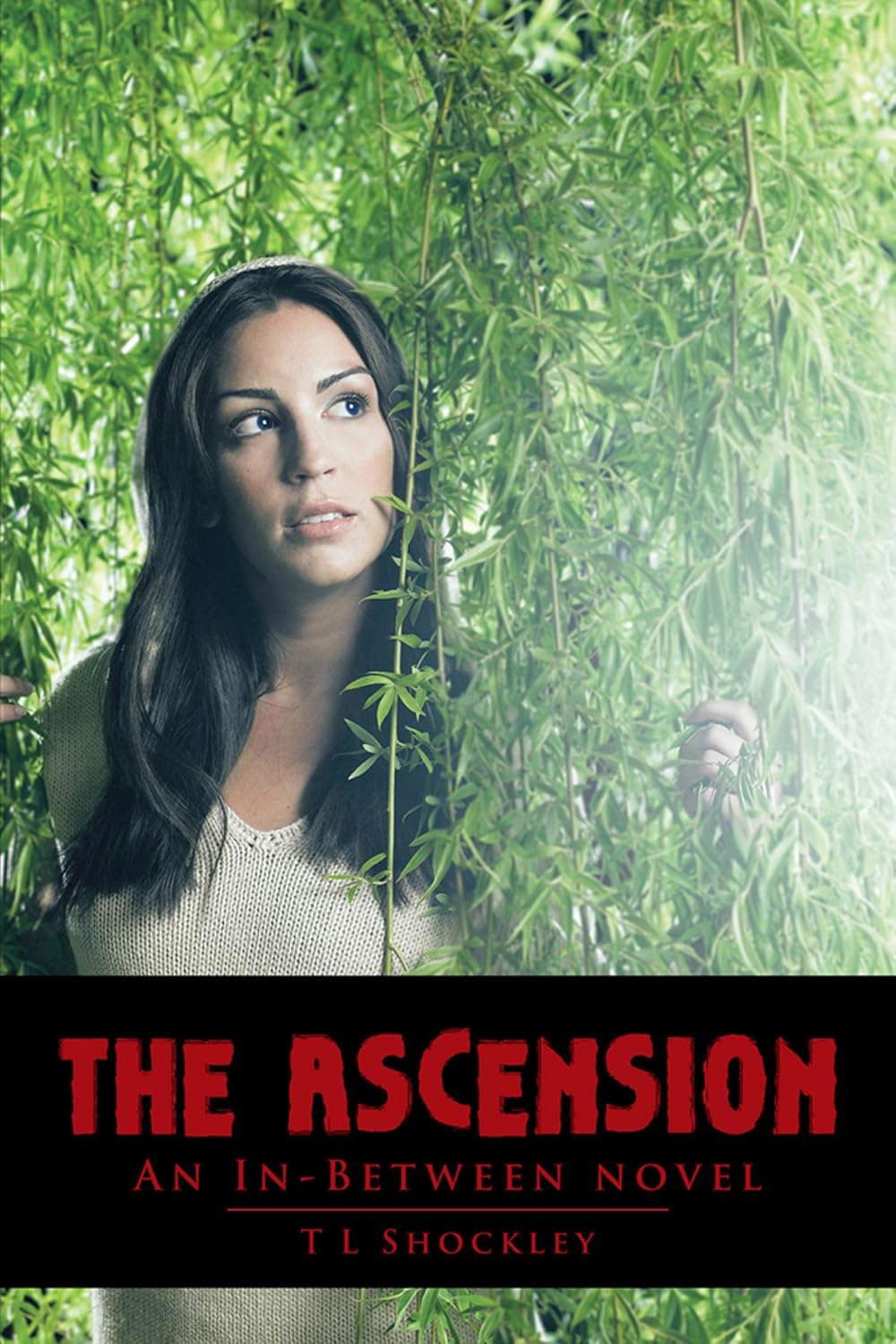 The Ascension: An In-Between Novel poster