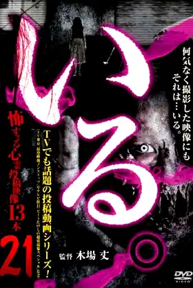 「Iru.」~ Kowasugiru Tōkō Eizō 13-hon ~ Vol.21 poster