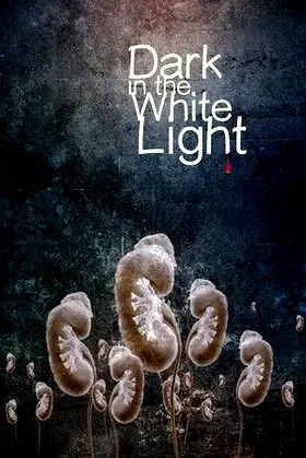 Dark in the White Light poster
