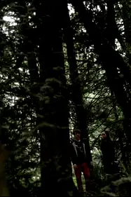 Lovecraft's Woods poster