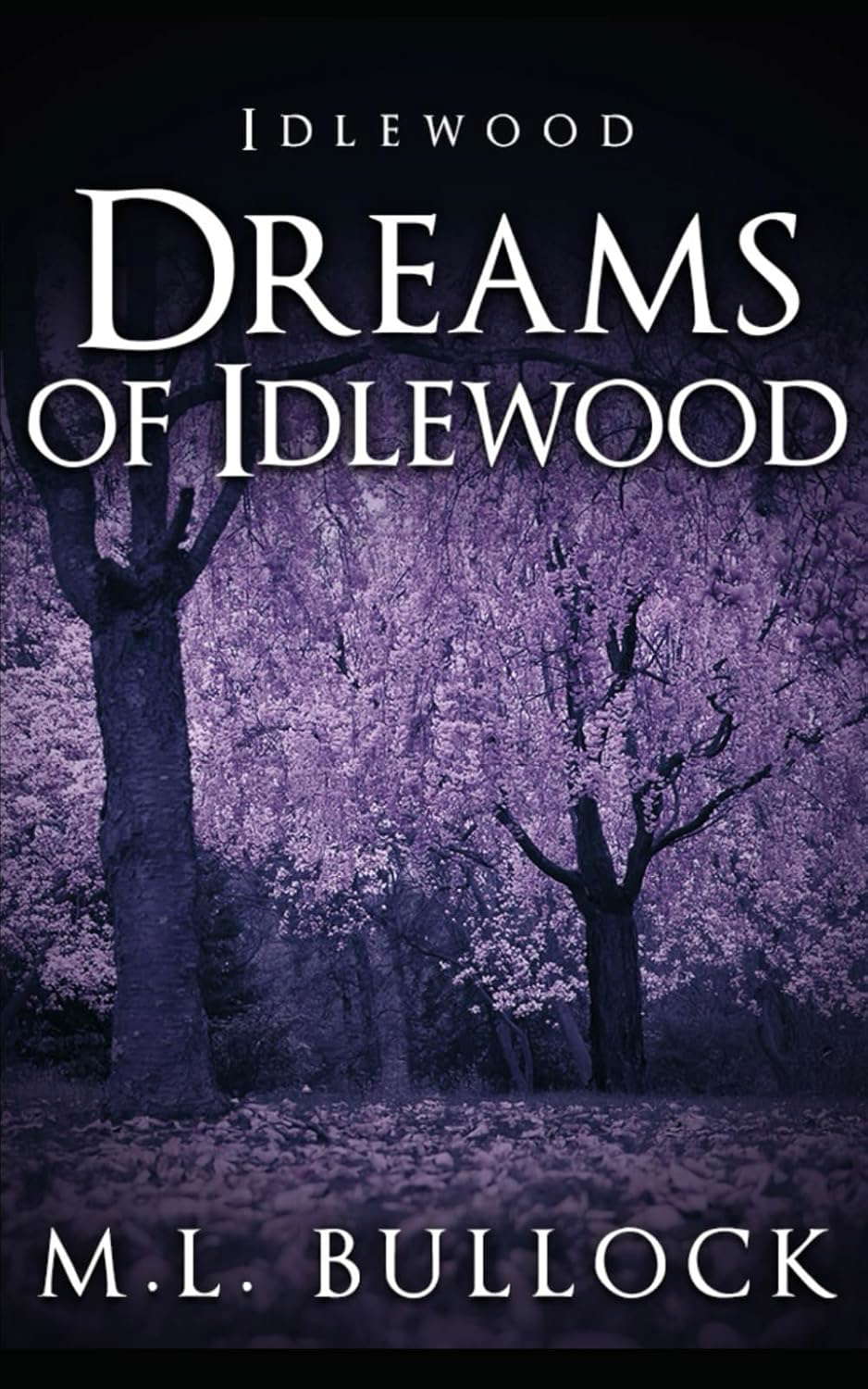 Dreams of Idlewood poster