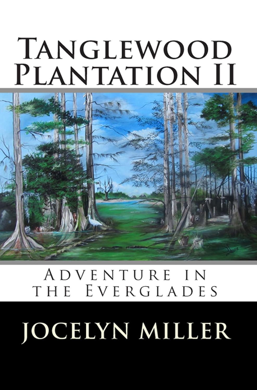 Tanglewood Plantation II: Adventure in the Everglades. poster