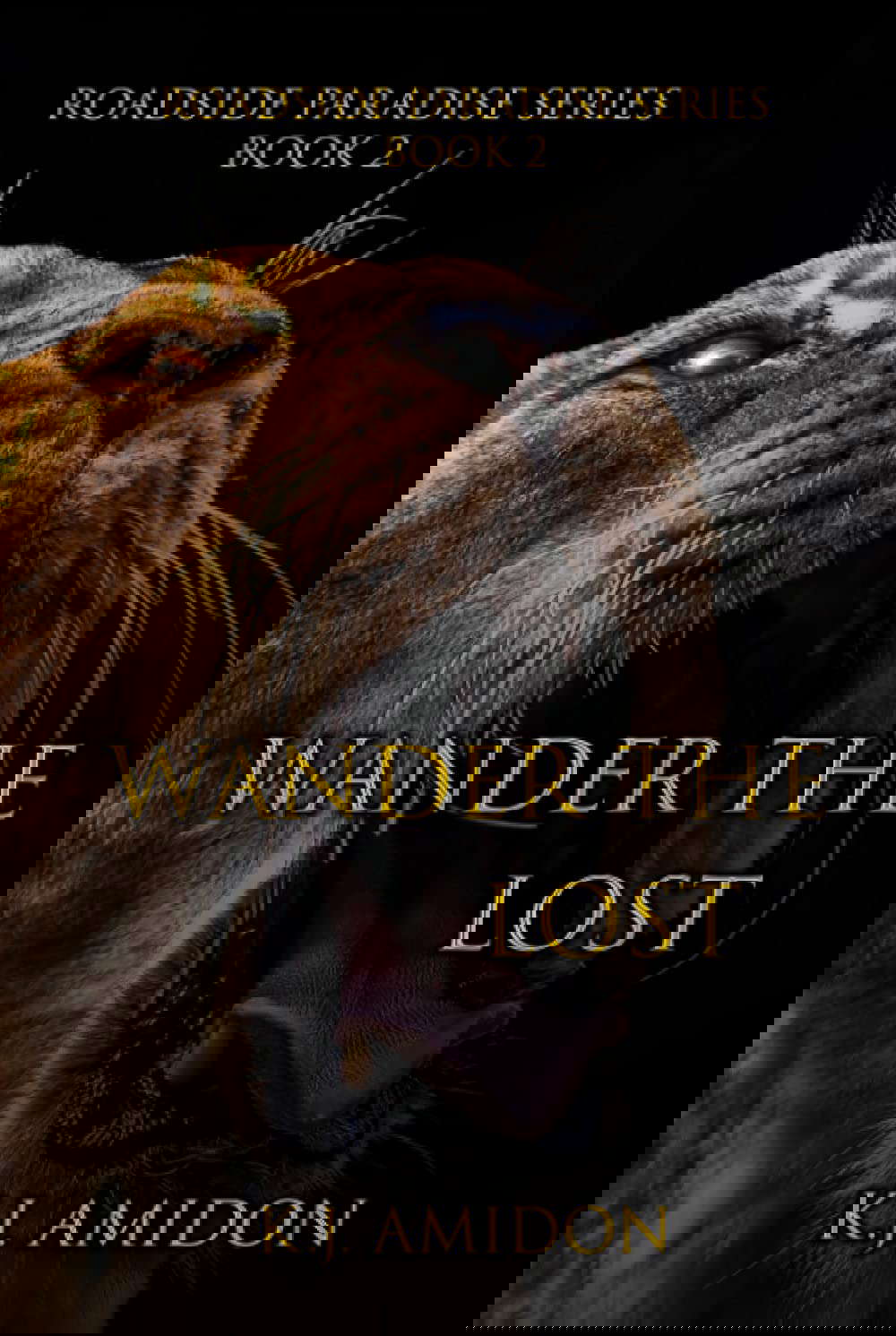 Wander the Lost (Roadside Paradise) poster