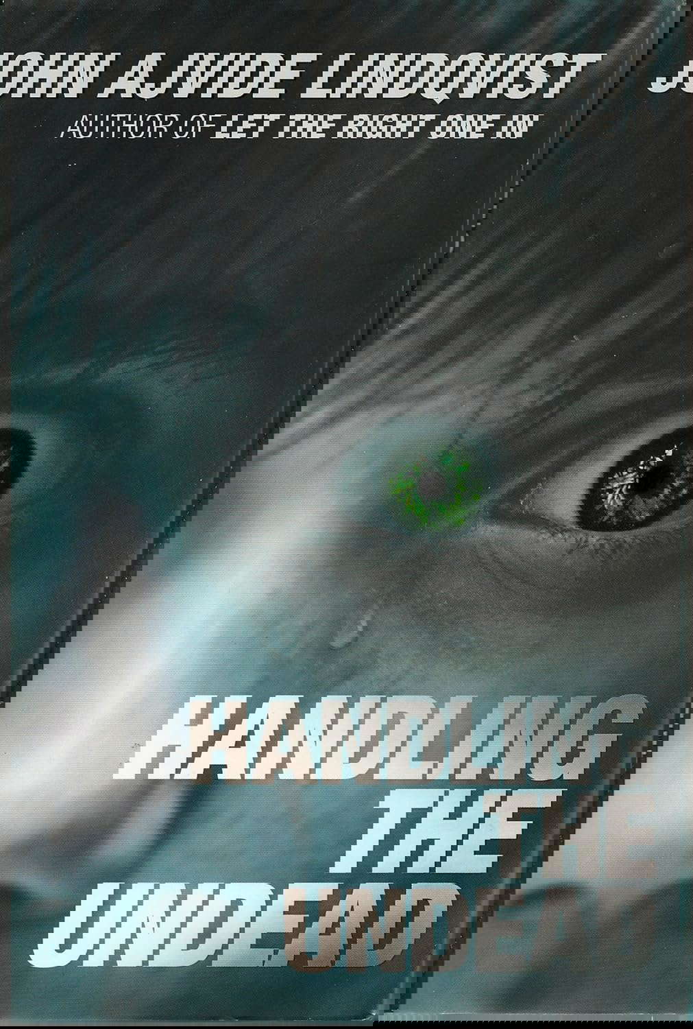 Handling the Undead poster