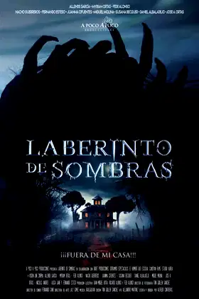 Laberinto de sombras poster