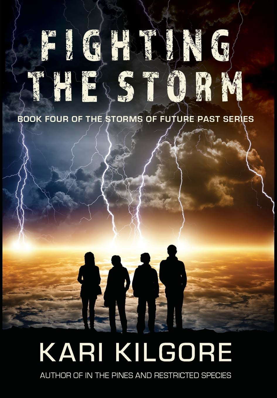 Fighting the Storm (Storms of Future Past) poster