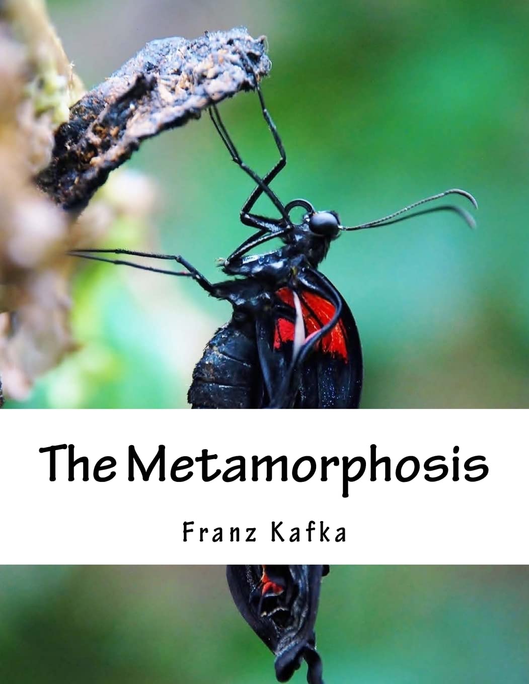 The Metamorphosis poster