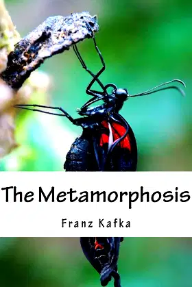 The Metamorphosis poster