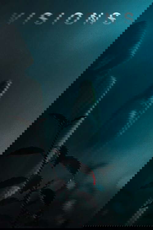Visions poster