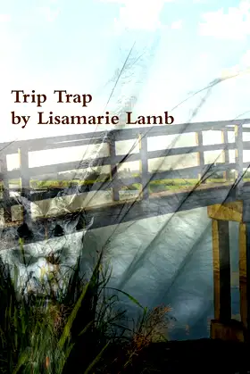 Trip Trap poster