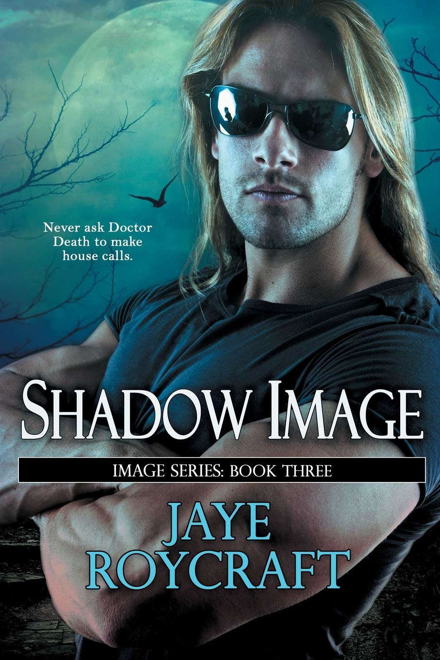Shadow Image: Image Series Book 3 poster