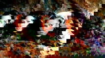 episode poster