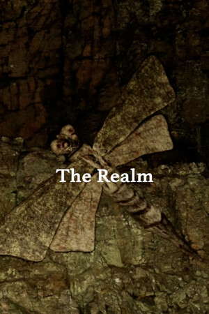 The Realm poster