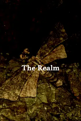 The Realm poster