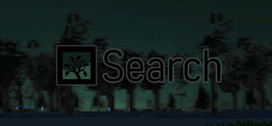 Search capsule