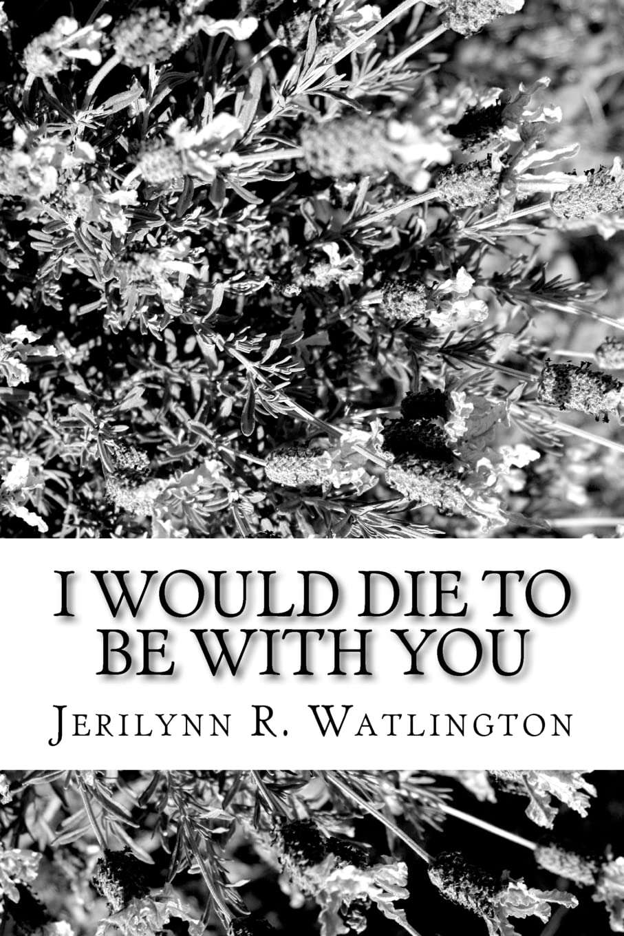 I Would Die To Be With You poster