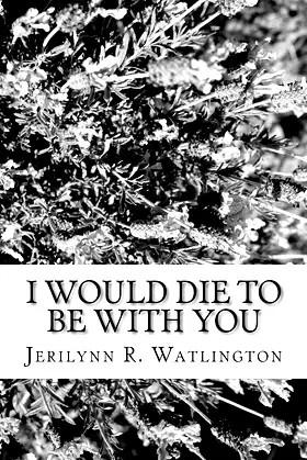 I Would Die To Be With You poster
