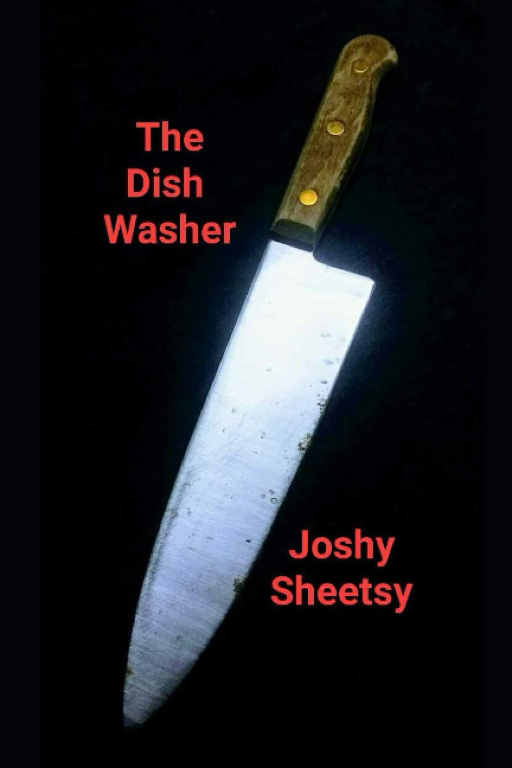 The Dish Washer poster