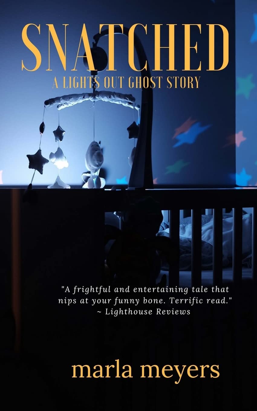 Snatched (A Ghost Story): Lights Out Series - Book 2 poster