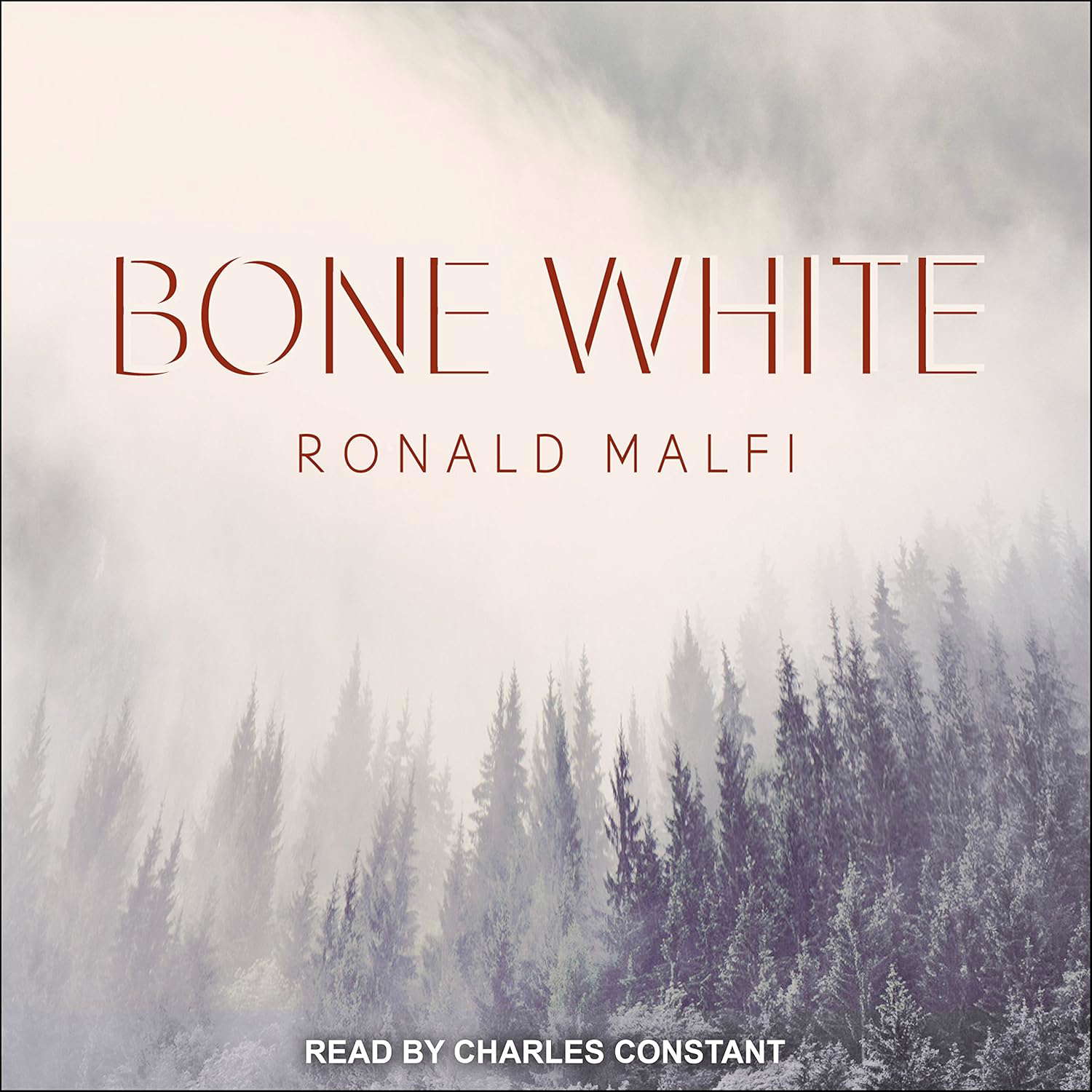 Bone White poster