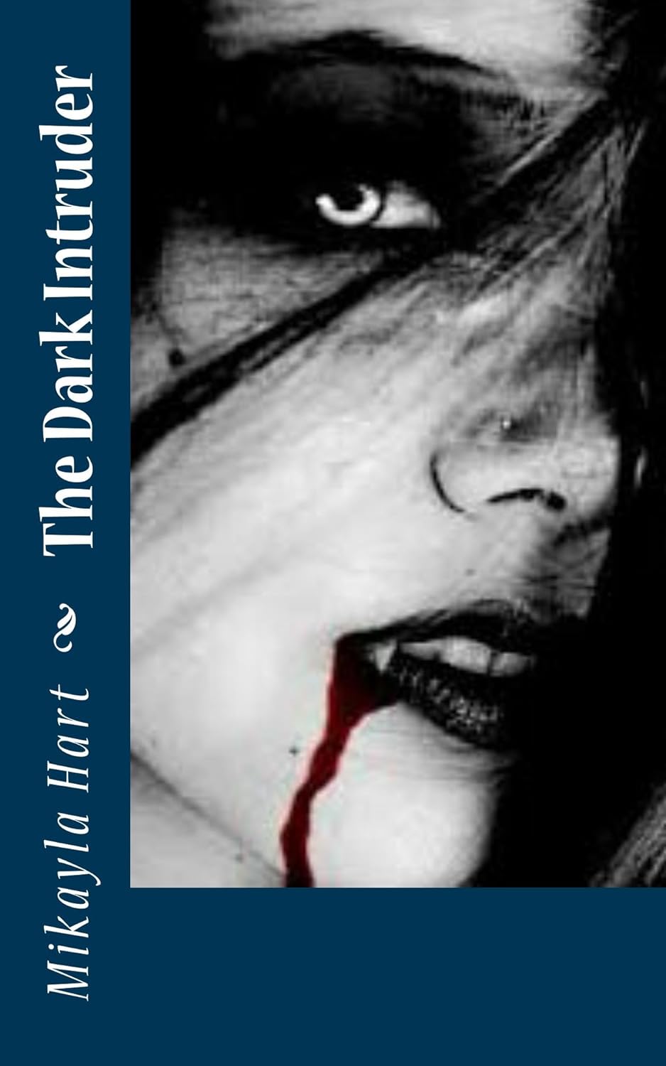 The Dark Intruder poster